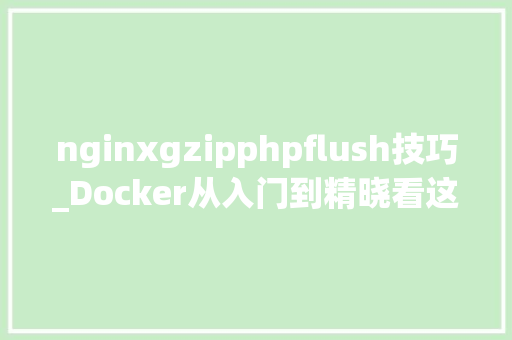 nginxgzipphpflush技巧_Docker从入门到精晓看这一篇就够了
