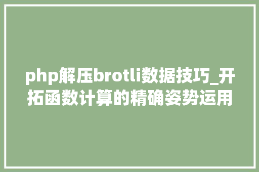php解压brotli数据技巧_开拓函数计算的精确姿势运用交互模式安装依靠