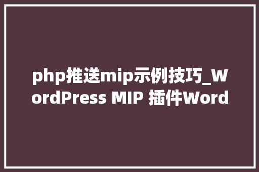 php推送mip示例技巧_WordPress MIP 插件WordPress MIP 自力域名绑定及支持熊掌号