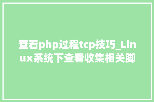 查看php过程tcp技巧_Linux系统下查看收集相关脚本