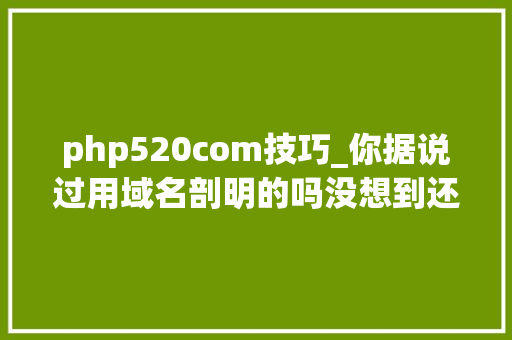 php520com技巧_你据说过用域名剖明的吗没想到还有这种浪漫