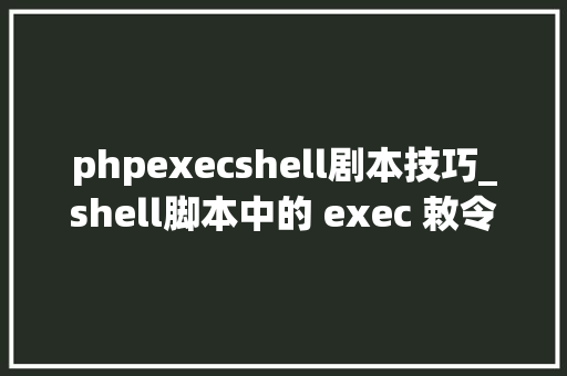 phpexecshell剧本技巧_shell脚本中的 exec 敕令