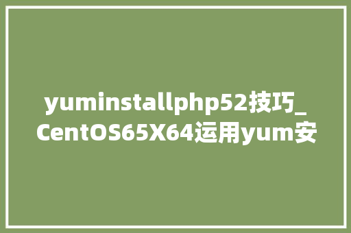 yuminstallphp52技巧_CentOS65X64运用yum安装LAMP情形