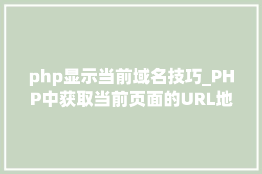 php显示当前域名技巧_PHP中获取当前页面的URL地址的方法