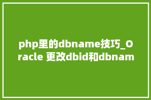 php里的dbname技巧_Oracle 更改dbid和dbname对象利器｜DBNEWID NID分享