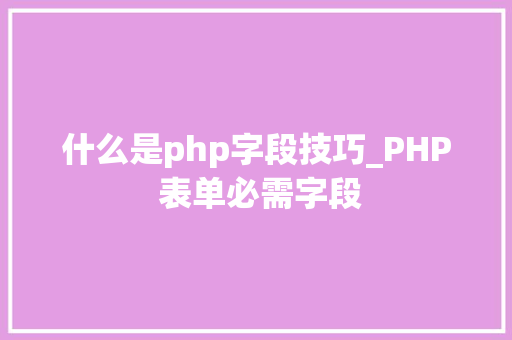 什么是php字段技巧_PHP 表单必需字段