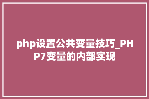 php设置公共变量技巧_PHP7变量的内部实现