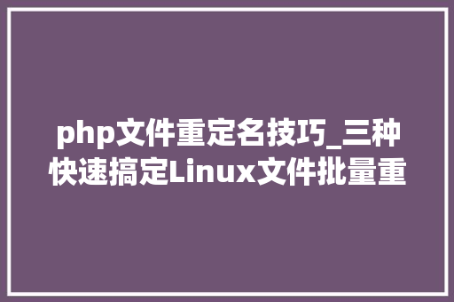 php文件重定名技巧_三种快速搞定Linux文件批量重命名的方法