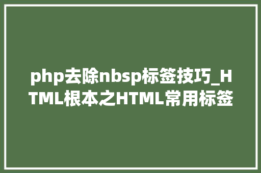 php去除nbsp标签技巧_HTML根本之HTML常用标签