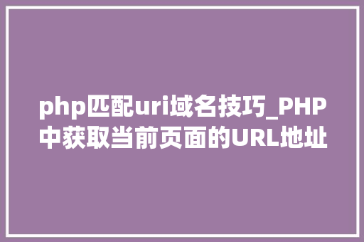 php匹配uri域名技巧_PHP中获取当前页面的URL地址的方法