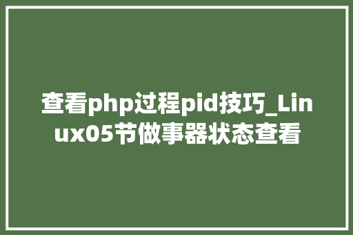 查看php过程pid技巧_Linux05节做事器状态查看