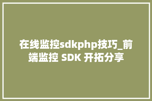 在线监控sdkphp技巧_前端监控 SDK 开拓分享