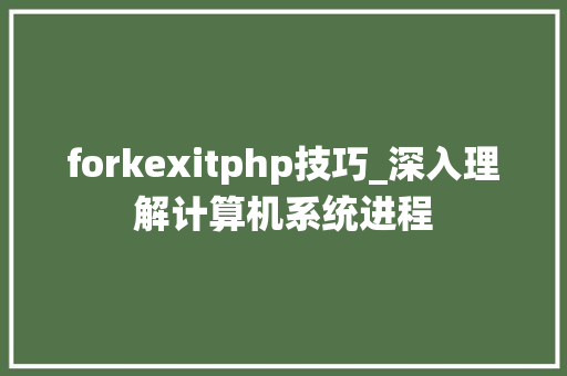 forkexitphp技巧_深入理解计算机系统进程