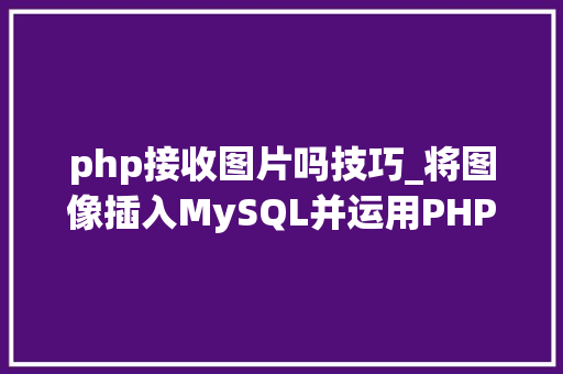 php接收图片吗技巧_将图像插入MySQL并运用PHP检索图像