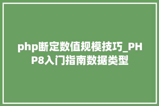 php断定数值规模技巧_PHP8入门指南数据类型