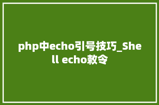 php中echo引号技巧_Shell echo敕令