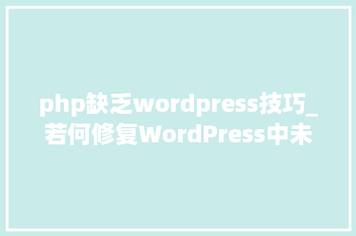 php缺乏wordpress技巧_若何修复WordPress中未显示的自定义字段
