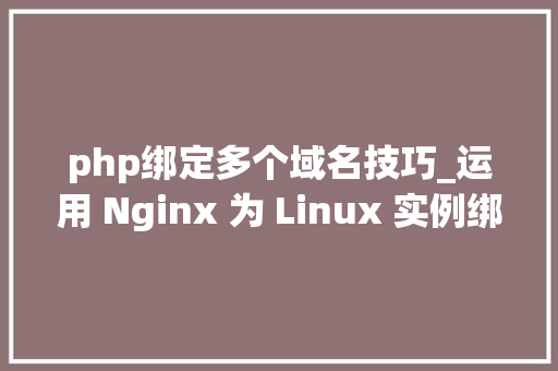 php绑定多个域名技巧_运用 Nginx 为 Linux 实例绑定多个域名的操作实例讲解