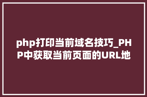 php打印当前域名技巧_PHP中获取当前页面的URL地址的方法