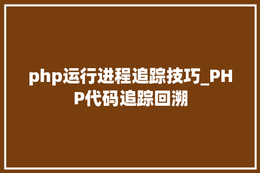 php运行进程追踪技巧_PHP代码追踪回溯