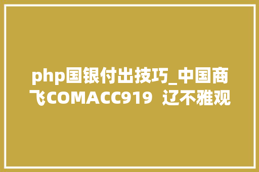 php国银付出技巧_中国商飞COMACC919  辽不雅观搬运的中英文维基百科词条