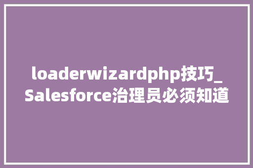 loaderwizardphp技巧_Salesforce治理员必须知道的21个功能你都搞懂了吗上