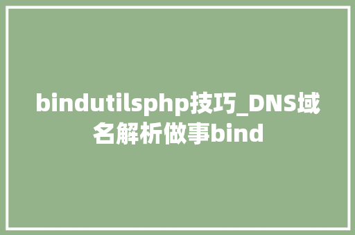 bindutilsphp技巧_DNS域名解析做事bind