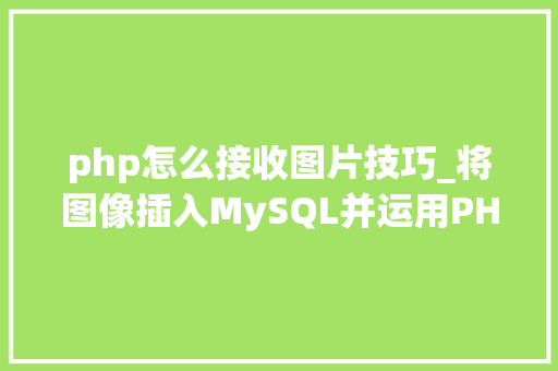 php怎么接收图片技巧_将图像插入MySQL并运用PHP检索图像