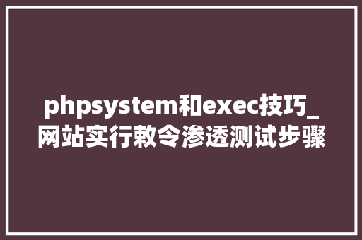 phpsystem和exec技巧_网站实行敕令渗透测试步骤详情