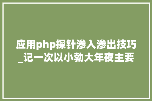 应用php探针渗入渗出技巧_记一次以小勃大年夜主要刺激的渗透测试