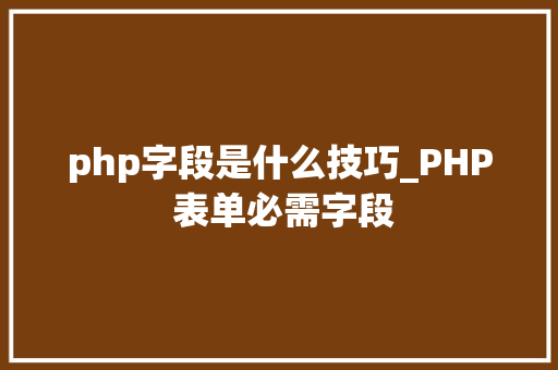php字段是什么技巧_PHP 表单必需字段