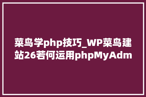 菜鸟学php技巧_WP菜鸟建站26若何运用phpMyAdmin对象操作wordpress数据库