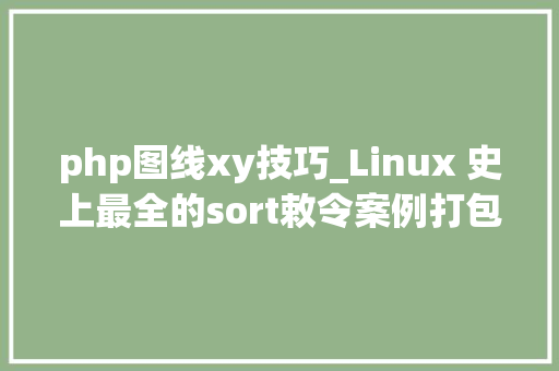 php图线xy技巧_Linux 史上最全的sort敕令案例打包带走吧