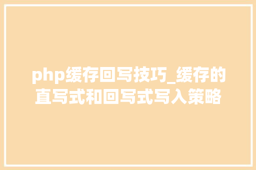 php缓存回写技巧_缓存的直写式和回写式写入策略