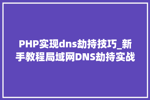 PHP实现dns劫持技巧_新手教程局域网DNS劫持实战