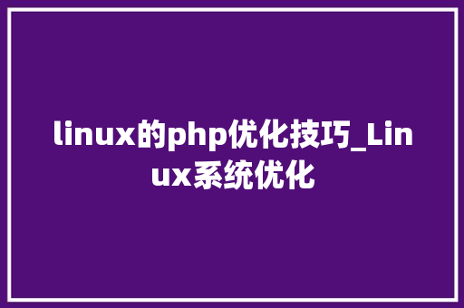 linux的php优化技巧_Linux系统优化