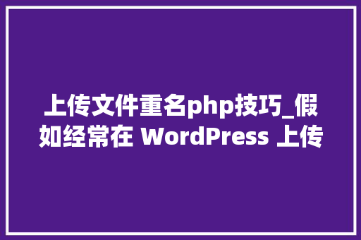 上传文件重名php技巧_假如经常在 WordPress 上传同名的图片最好开启这个选项