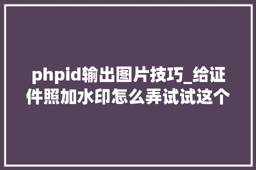 phpid输出图片技巧_给证件照加水印怎么弄试试这个在线对象