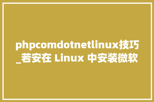phpcomdotnetlinux技巧_若安在 Linux 中安装微软的 NET Core SDK