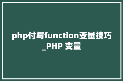 php付与function变量技巧_PHP 变量