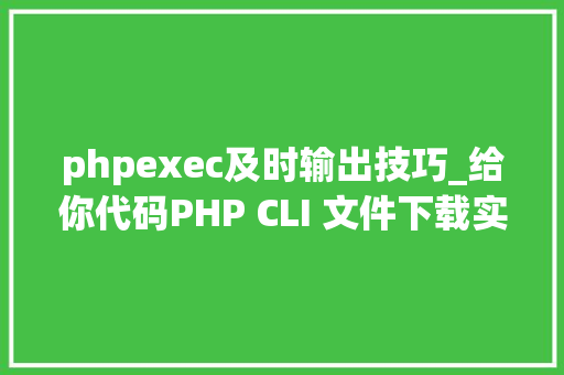 phpexec及时输出技巧_给你代码PHP CLI 文件下载实时彩显进度