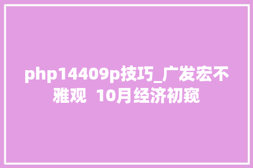 php14409p技巧_广发宏不雅观  10月经济初窥