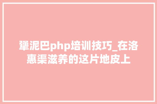 犟泥巴php培训技巧_在洛惠渠滋养的这片地皮上