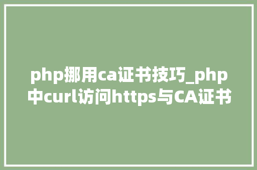 php挪用ca证书技巧_php中curl访问https与CA证书代码示例