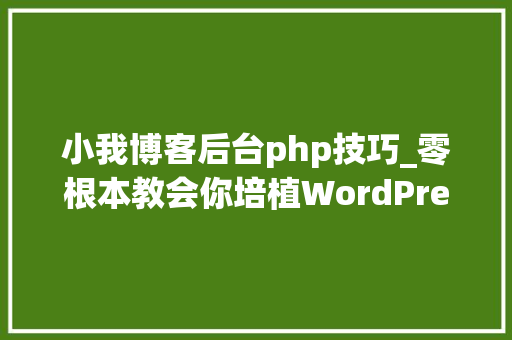 小我博客后台php技巧_零根本教会你培植WordPress小我博客