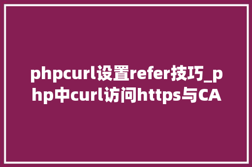 phpcurl设置refer技巧_php中curl访问https与CA证书代码示例