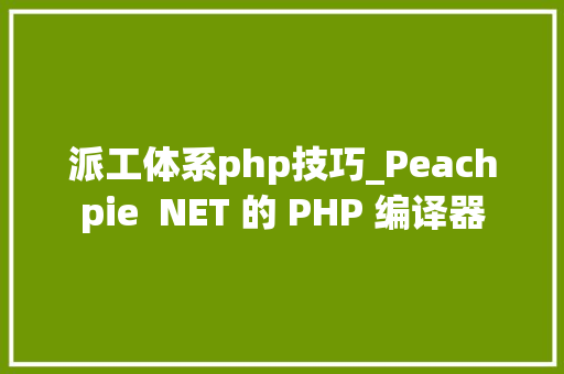 派工体系php技巧_Peachpie  NET 的 PHP 编译器
