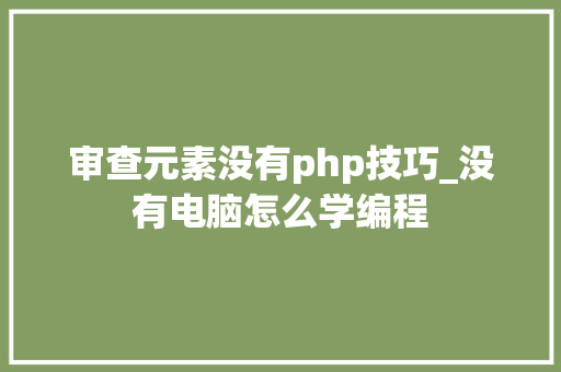审查元素没有php技巧_没有电脑怎么学编程