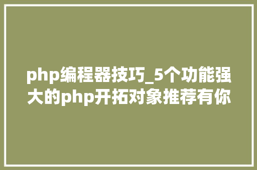 php编程器技巧_5个功能强大的php开拓对象推荐有你想要的吗