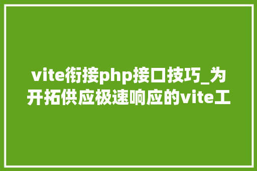 vite衔接php接口技巧_为开拓供应极速响应的vite工作事理是若何的呢